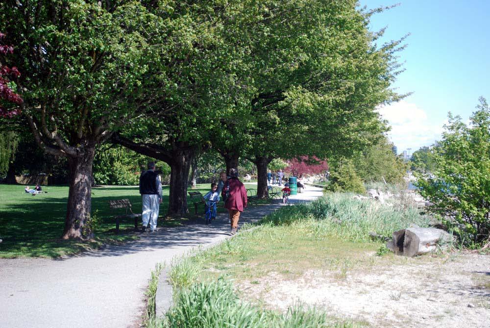 Public Amenity: Environmental Engagement 15th Street Foreshore Enhancement Encourage public interest in the local natural environment, especially the