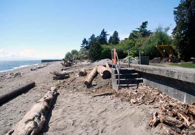 Creation of a trail along the upper shore, connected to the beach by riparian habitat.