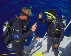 Buddy System Increases the fun of diving Always know how much air each other has left. The buddy with the lowest amount of air sets the base line for the dive. Agree on a leader for the dive.