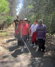 What we provide Heart Foundation Walking is a proven and sustainable framework for starting and operating walking groups in your community Cardiovascular disease: kills one Australian every 12