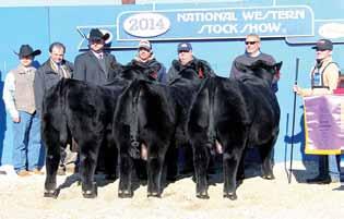 6 WW +96 YW +158 MILK +27 Easy Decision a big time performance bull that is rapidly becoming one of the most popular new bulls in the Angus breed.