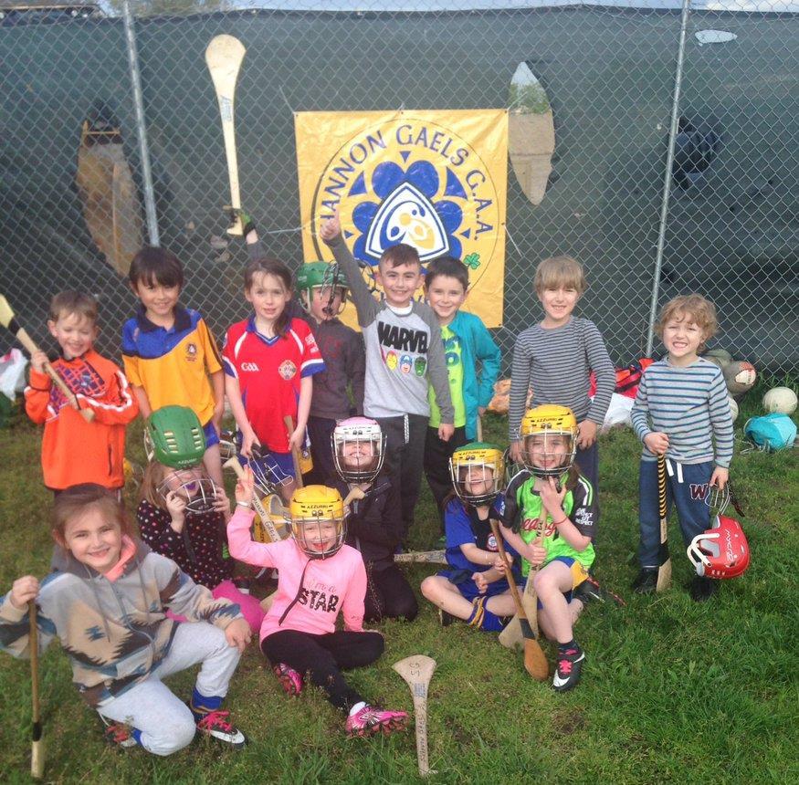 Shannon Gaels underage Hurling Shannon Gaels Hurling is going strong and growing, thanks