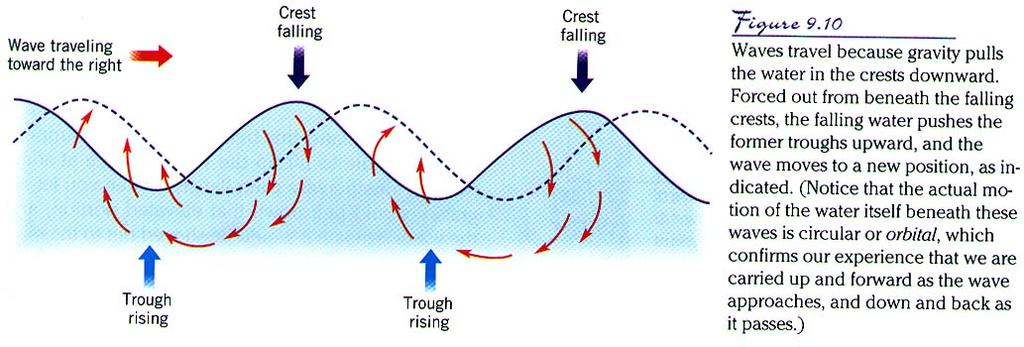Oceans in Motion: Waves and Tides Waves Waves are among the most familiar features in the ocean.