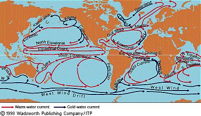 Wind Wind-drive driven ocean surface currents How fast? A few miles/hr (Gulf Stream off of Miami = 4.