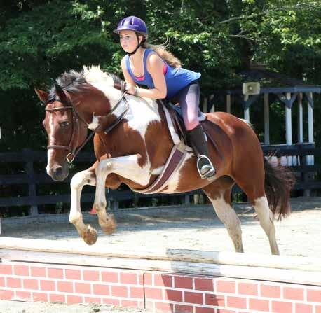 The Programs Equestrian Program Girls, Ages 9-16 All Horses - All Day!