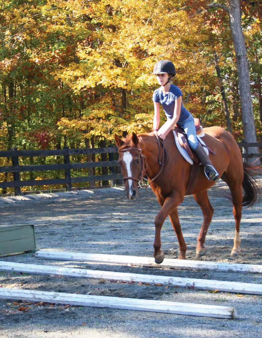 Off Season Programs We offer Fall and Spring riding weekends each year.