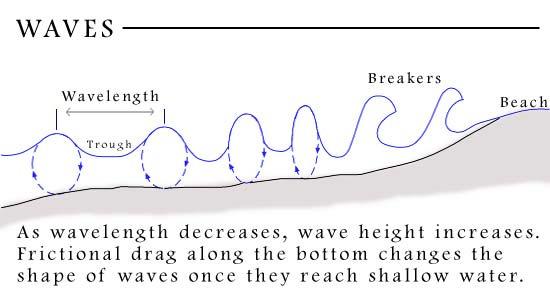 WAVES When a wave reaches shallow water, the lower part of the wave is slowed by the ocean floor, but the upper part continues at the same speed until it topples over.