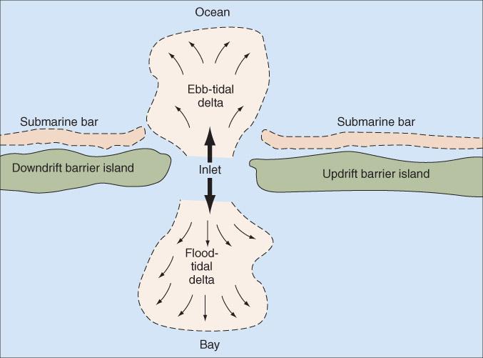 Barrier Islands Are Separated from One Another by Tidal Inlets These openings allow the exchange of seawater between the ocean and smaller bodies of water.