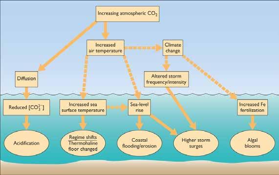 Climate Change (Continued) Climate warming will affect oceans and ocean life in diverse and complex ways. Every aspect of ocean chemistry, circulation, heat content.