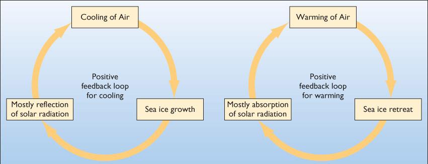 Increased water temperature: Delays onset of winter freezing Promotes an earlier spring breakup of sea-ice cover Figure 16.