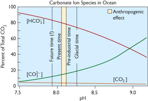 CO 2 As CO 2 builds up in the lower atmosphere, more of it diffuses into the ocean. CO 2 complexes with water molecules to form carbonic acid (H 2 CO 3 ). This increases the acidity of the seawater.