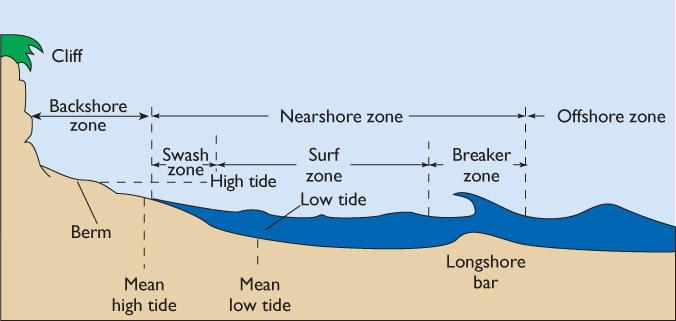The Coastal Zone The berm, a prominent wave-deposited feature of most beaches, is an accumulation of sand having a flat top surface and a relatively steep