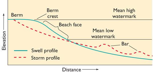 Beach Sediments Are Moved by Currents and Breaking Waves A beach profile is a cross section of the beach along a line that is perpendicular to the shoreline.