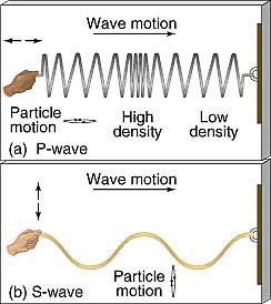 the electromagnetic spectrum Longitudinal wave Particles oscillate back and forth about their equilibrium positions, parallel to the