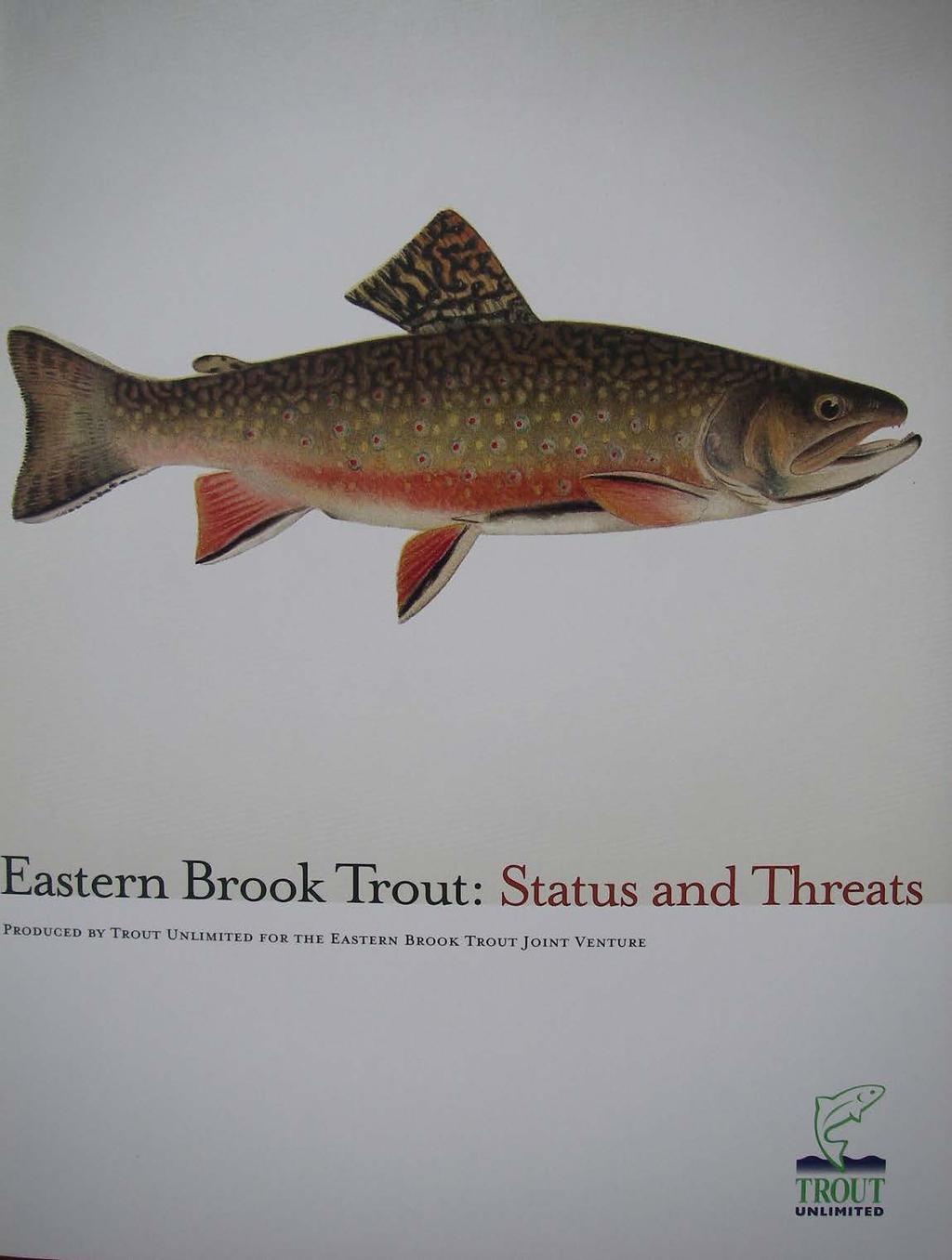 Eastern Brook Trout Joint Venture 2006 Maine is the last true