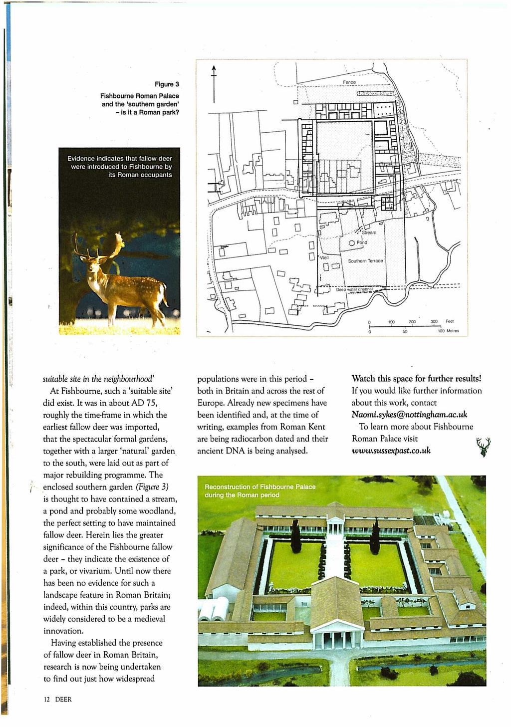 Figure 3 Fishbourne Roman Palace and the 'southern garden' is it a Roman park?