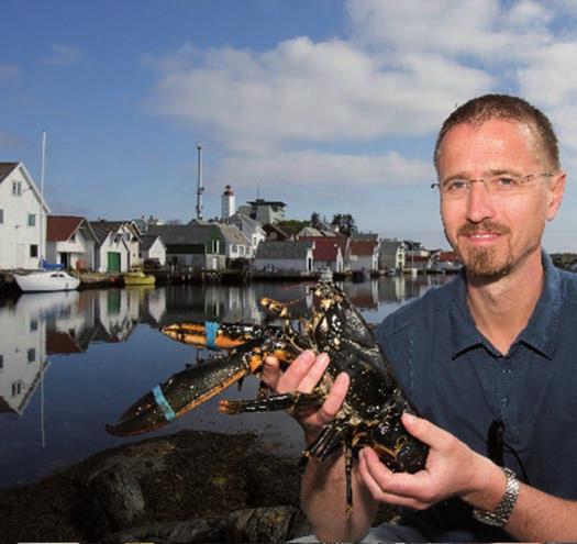 Norwegian Lobster Farm claims to be the only company in the world producing platesized lobsters.