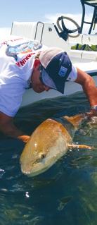 OFFSHORE Grouper Grouper is a family of fish that are some of the most popular to fish in the Florida Gulf Coast. Adult grouper inhabits rocky bottoms and reefs more than 60 feet deep.