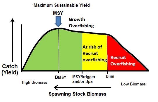 section in Figure 1. MSYBtrigger and Bpa are action points; when the SSB is below this level managers expect to take measures to reduce fishing mortality aiming for exploiting the stock at MSY.