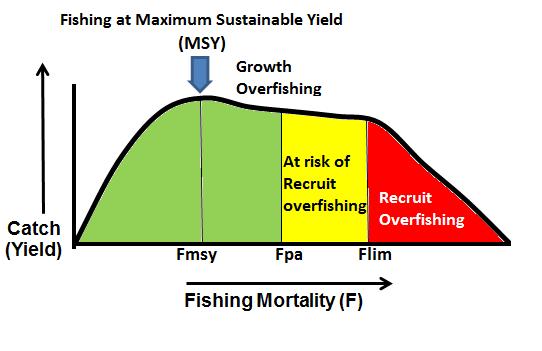 Figure 2 Schematic for Fishing Mortality reference points However, providing sufficient fish survive to become adults and spawn, they may still have the reproductive capacity to replace themselves.