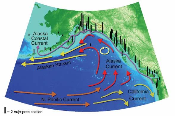 Ocean Currents and