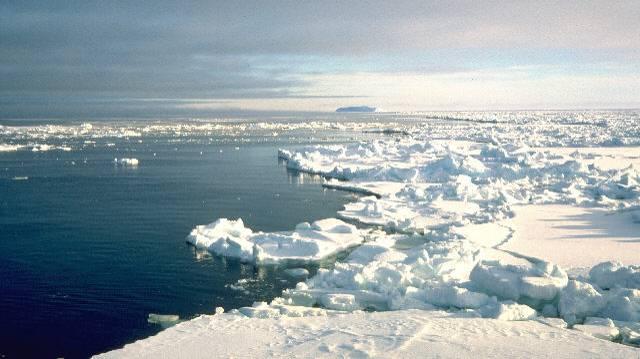 Role of Sea Ice