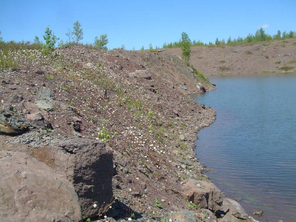 Some of the Remnants of the Mining Steep banks