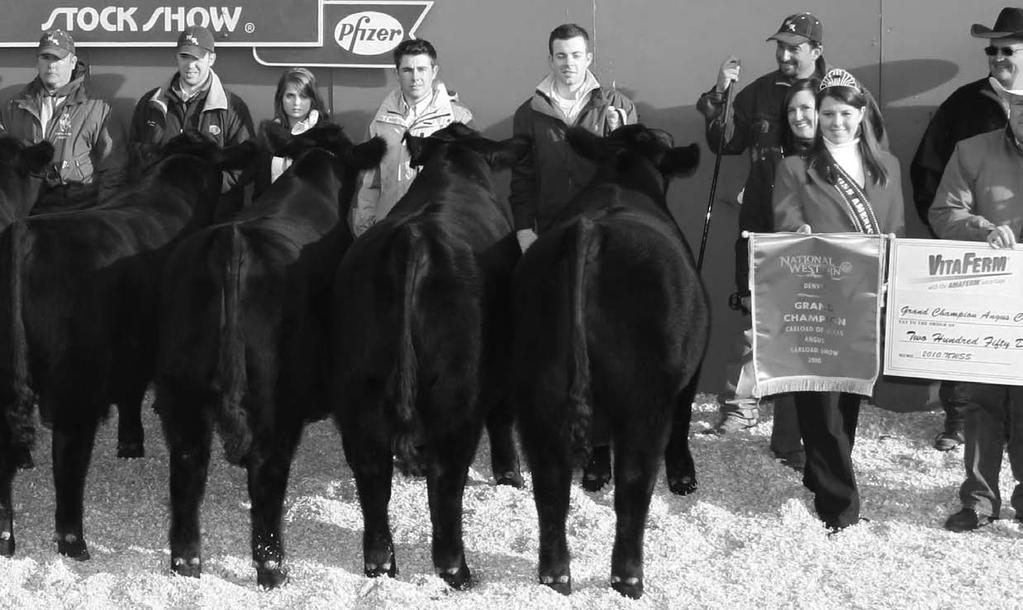 Plenty of muscle here, Lot 3 scanned with the 3rd largest rib-eye in the entire Angus offering! 3 WK Power Up 9412 16447251 Tattoo: 9412 DOB: 02/25/2009 Lau Decade.