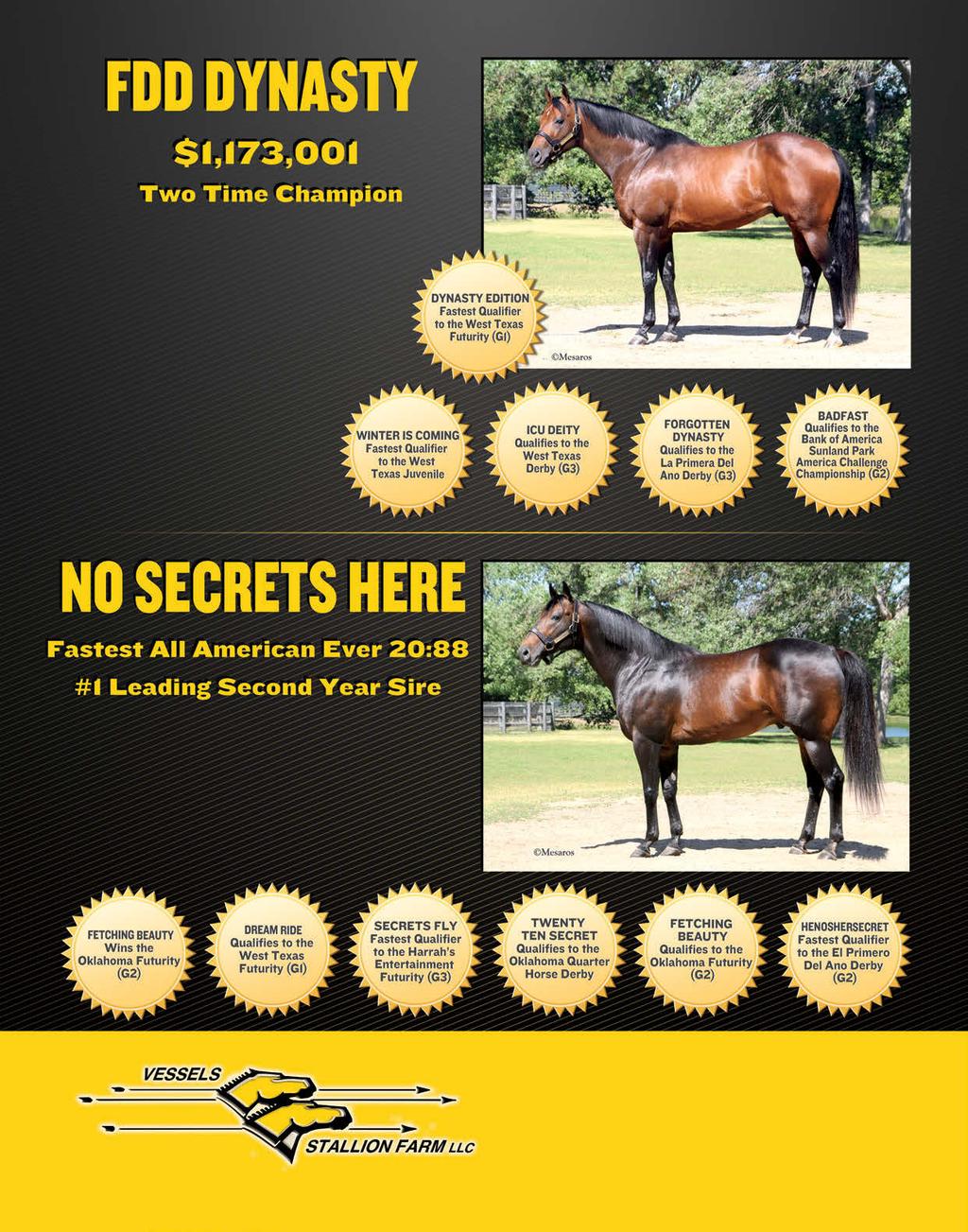 Sire of 2.6 Million In Earners Sire of Multiple Graded Stakes Qualifiers Owned by FDD DYNASTY SYNDICATE Limited number of 2013 season available Call The Farm Today! No.