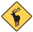 New Symbol Signs to Warn of Possible