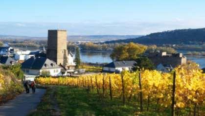 Take the gondola to Ehrenbreitstein Fortress or mingle with the happy wine drinking folk in the restaurants and bars.