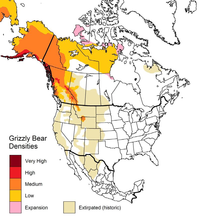 2 This is Figure 2 from the COSEWIC Assessment and Status Summary. It shows the boundaries of the current and historic distribution of the Grizzly Bear in North America.