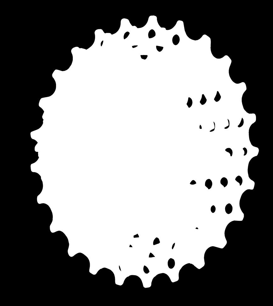 CASSETTE 11-SPEED CASSETTE TITANIUM AND HEAT-TREATED CARBON STEEL COGS for durability LARGE CASSETTE CONTACT AREA