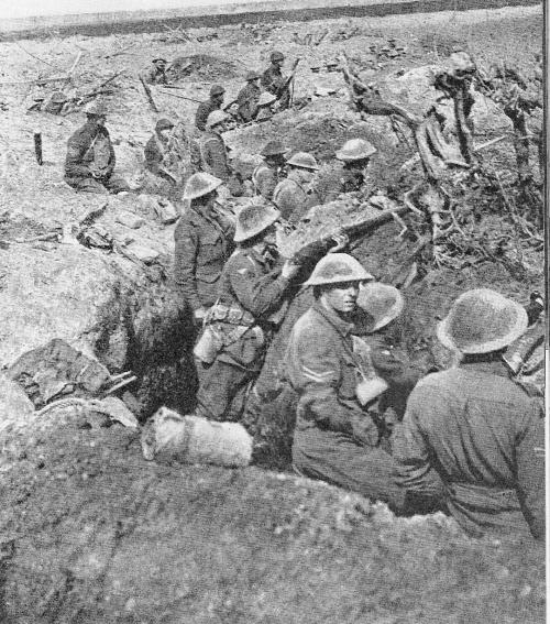 The Australians Units of the 4 th and 5 th Divisions ( 1 st Anzac Corps) were given the task of attacking and capturing the areas of Glencorse Wood Nuns Wood (Noone Bosschen), Polygon Wood and the
