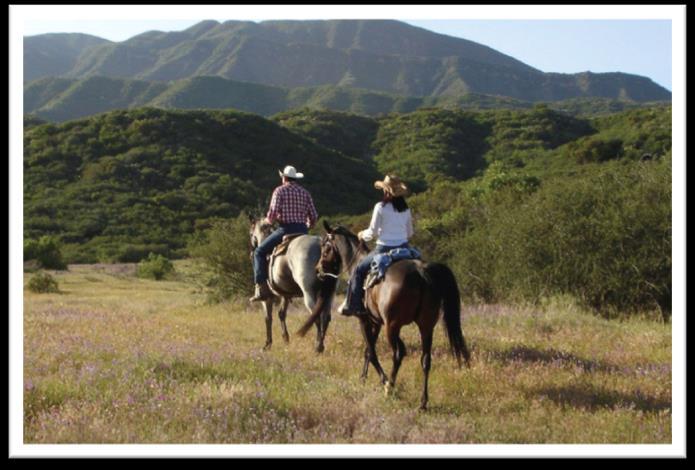 Horseback Riding With two horseback riding vendors, the Ojai Valley Inn & Spa has the best of all possible riding options in the Valley.