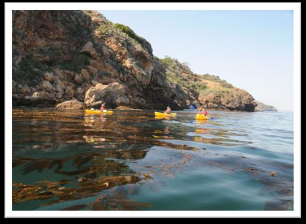 Sea Kayaking Tours Paddle the Pacific Ocean on either on all day adventure to the Channel Islands or an halfday Channel Island Harbor Tour.