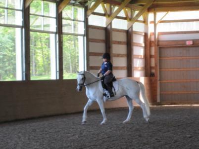 Registration Details CARLISLE ACADEMY A National Leader in Grassroots Para-Equestrian Education & Training: Carlisle Academy is a founding center of the USEF/USPEA Para-Dressage Center of Excellence.