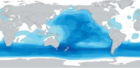 73 Figure 2. At-sea distribution of threatened seabirds around the globe.