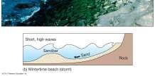 Parallel to shoreline (up-coast or downcoast) Longshore current transports sand along the beach Swash and Backwash
