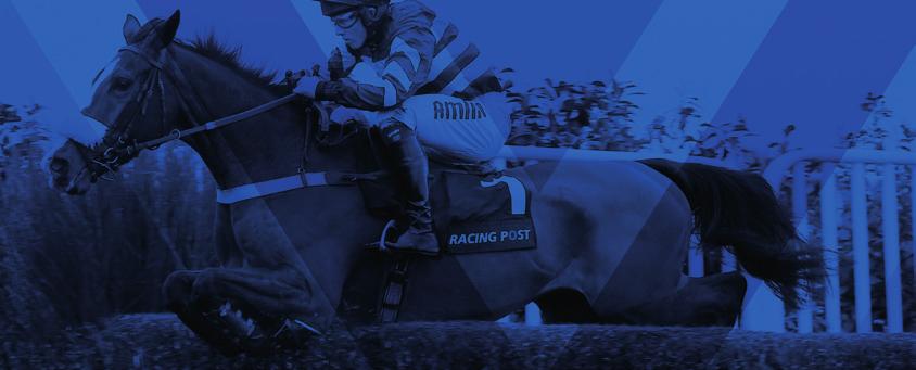 MISSION & OBJECTIVES THE BHA S MISSION AND STRATEGIC OBJECTIVES The BHA is the governing and regulatory body for British Horseracing in Great Britain, with wide-ranging responsibilities.