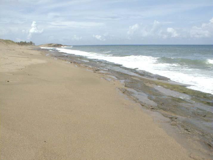 Jack Morelock and Maritza Barreto An Update of Coastal Erosion in Puerto Rico Department of Marine Sciences, University of Puerto Rico at Mayagüez and Geography Department, University of Puerto Rico