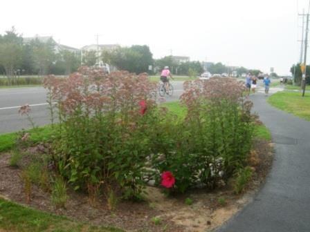 Walk or bike to South Bethany s York Beach Mall Shopping Center which features: McCabe's Gourmet Market great for morning coffee and afternoon picnic baskets;