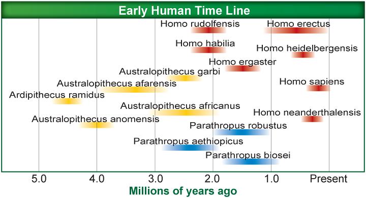 Section 3 Human Ancestry Out-of-Africa Hypothesis!