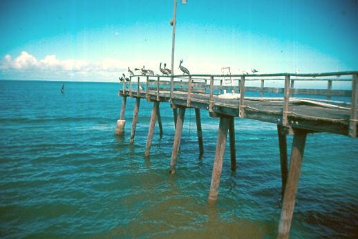 5. At Cedar Key, the city pier was destroyed along with another private pier due to uplift and lateral wave loads. 6.