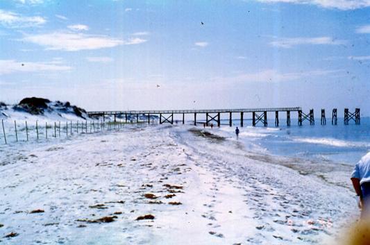 Storm tides ranged from +4 to +6 feet NGVD in Pinellas County to +9 feet NGVD in Levy County. 1. The municipal pier in Cedar Key was substantially damaged. 2.