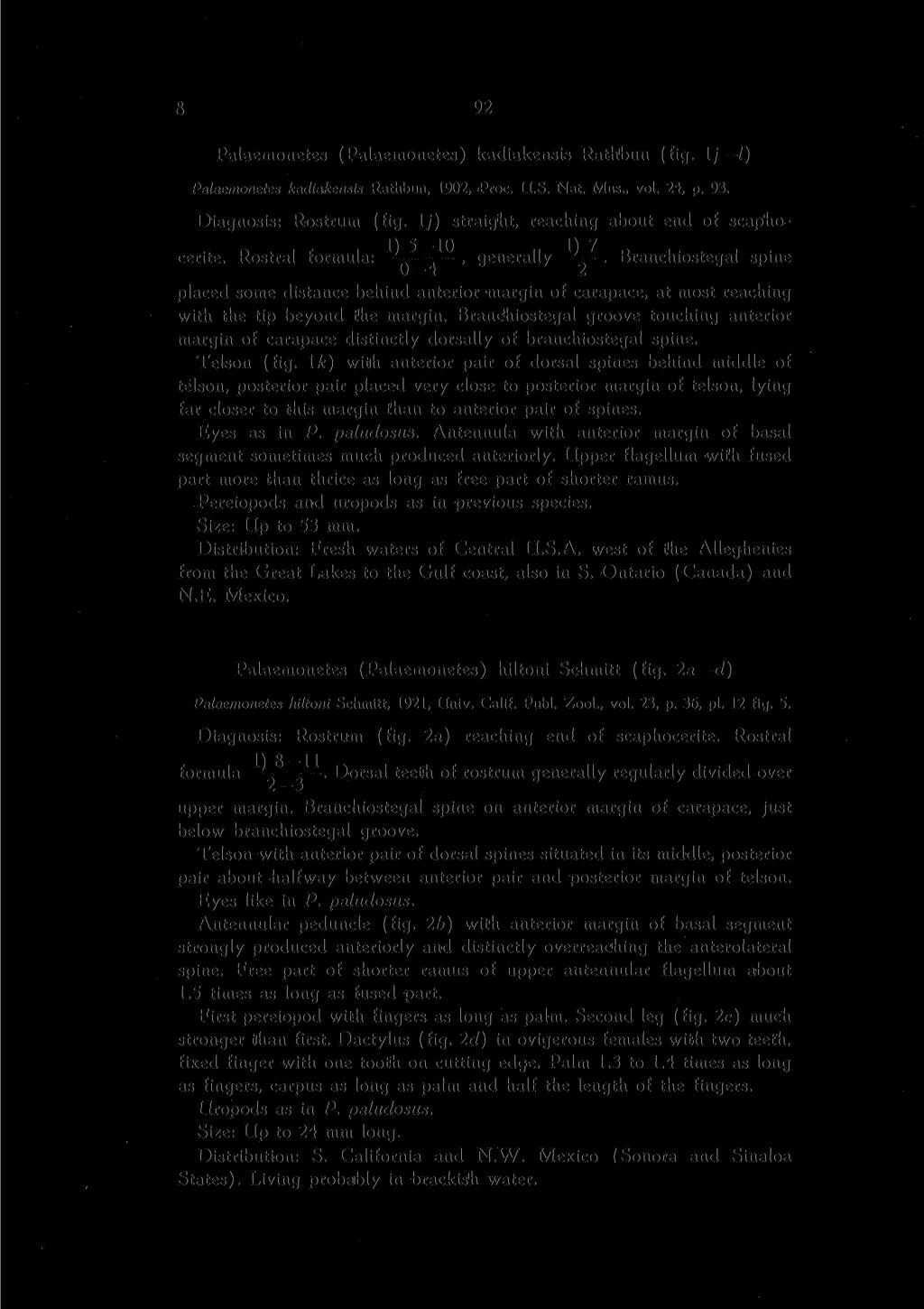 8 94 Palaemonetes (Palaemonetes) kadiakensis Rathbun (fig. 1/ /) Palaemonetes kadiakensis Rathbun, 1902, Proc. U.S. Nat. Mus., vol. 24, p. 93. Diagnosis: Rostrum (fig.