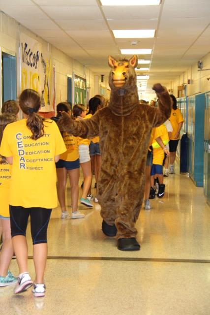 4503 October 10 th, 2016 Dear Parents/Guardians: Blue and Gold Day @ Cedar: On September 23 rd, the Cedar Drive community participated in an all-day event that included an assembly, advisory, pep