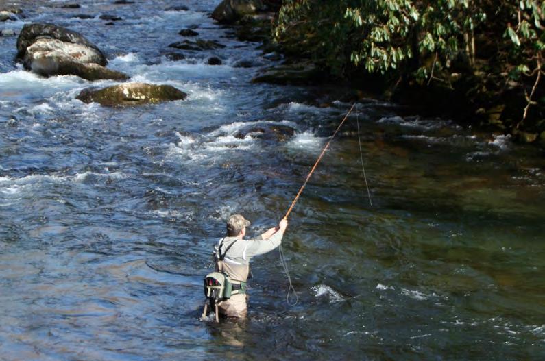 Coq de Leon hackle A fly fisher dredges a deep slot with a pair of nymphs in a Smoky Mountain stream but there is no reason to shy away from it.