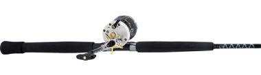 Example of a Spinning Rod & Reel Example of a Salt Water Trolling Rod & Reel How used: When used: Care:
