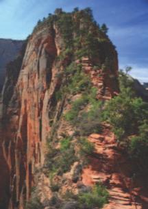 Guided Hikes Take advantage of your time in Zion to soak up all that this majestic land has to offer. Zion Ponderosa offers unique adventures for all skill levels.